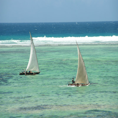 Investimenti e opportunita a Zanzibar